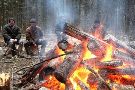 Любителей шашлыков в лесу ждет встреча с пожарными инспекторами