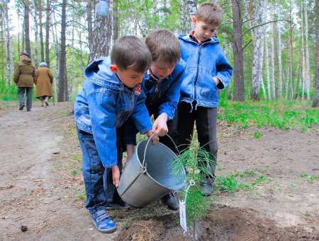 В наукограде Кольцово высадили семейную аллею