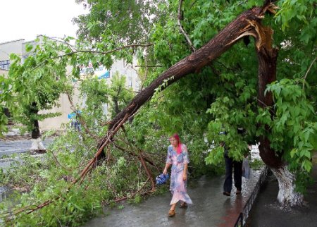 В НСО ликвидируют первые последствия сильного ветра