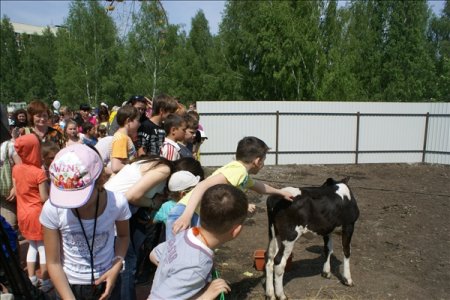 В Новосибирске открылся контактный зоопарк