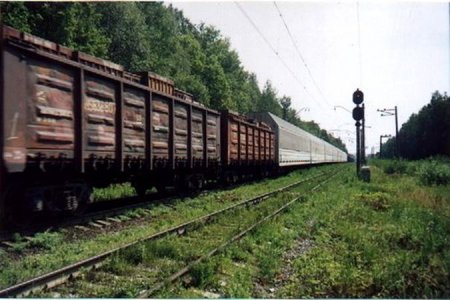 ДТП в Новосибирской области: столкнулся автомобиль и товарный поезд