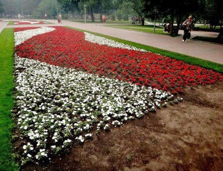 В Новосибирск возвращают бальзаминовые клумбы