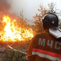 Пожароопасная обстановка в НСО спокойная