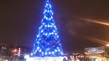 В Новосибирске открылась главная новогодняя елка