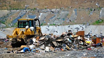 В этом году под Новосибирском начнут строить два мусороперерабатывающих завода