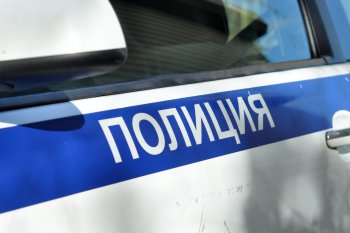 Новосибирские подростки опубликовали видеозапись избиения 13-летней школьницы