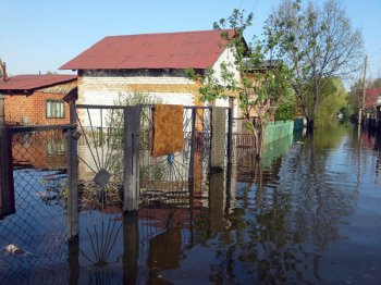 Пяти сотням новосибирских дач грозит подтопление