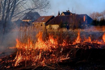 В Новосибирской области введен особый противопожарный режим